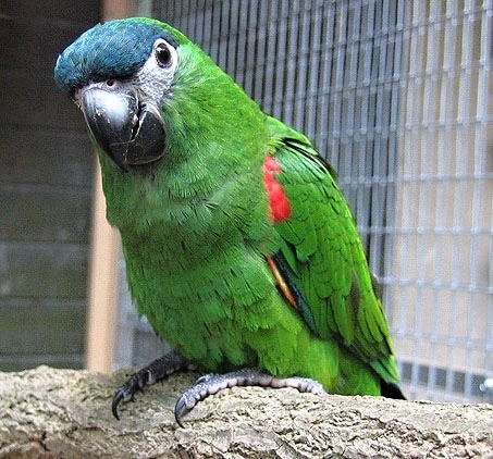Foto 4